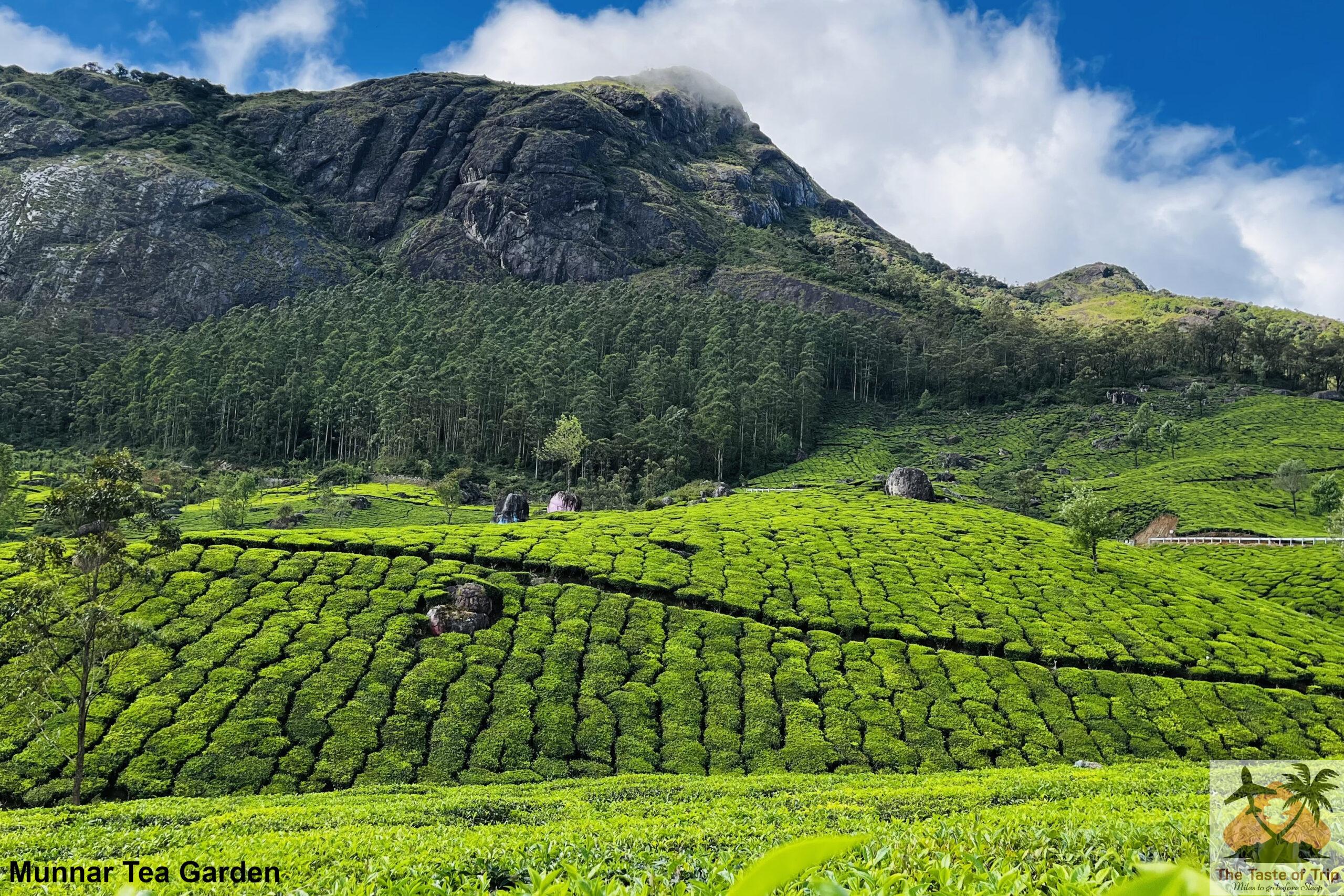 Trip to Munnar – The Paradise of South India