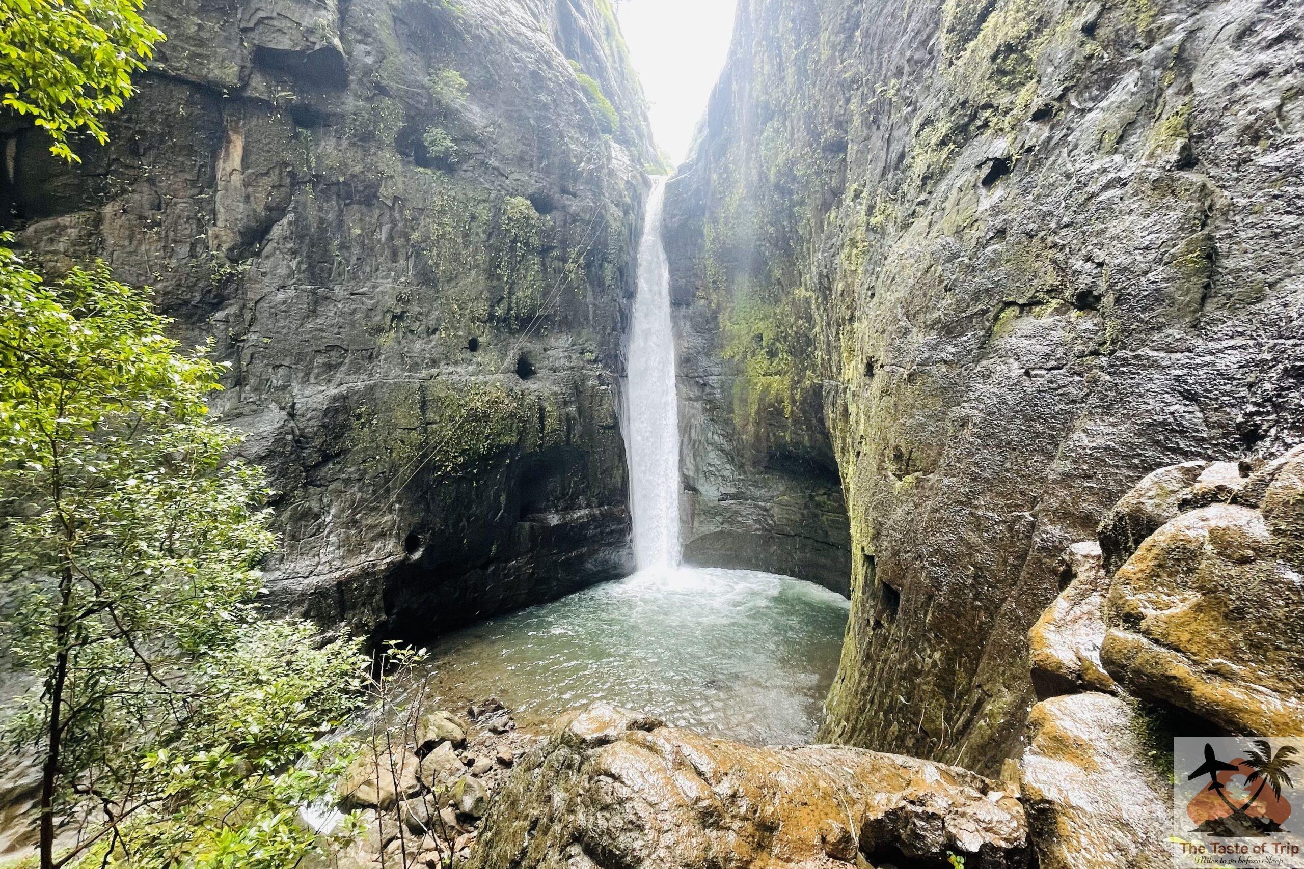 Milkybar Waterfall Trek
