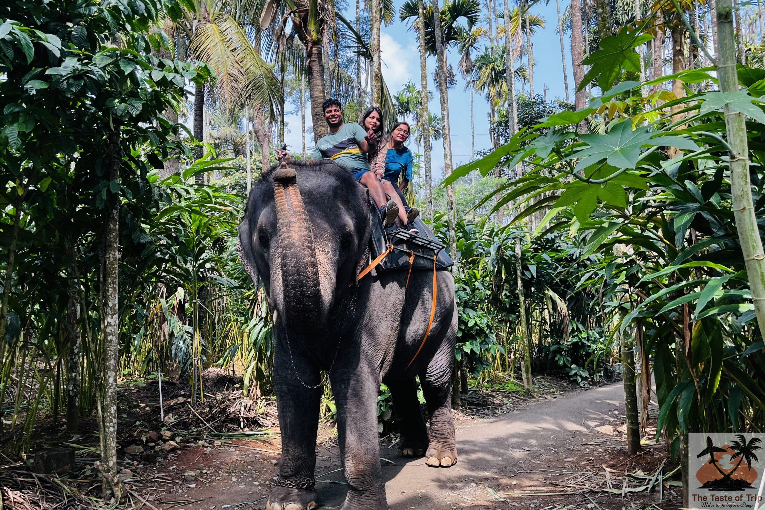 Trip to thekkady periyar tiger reserve