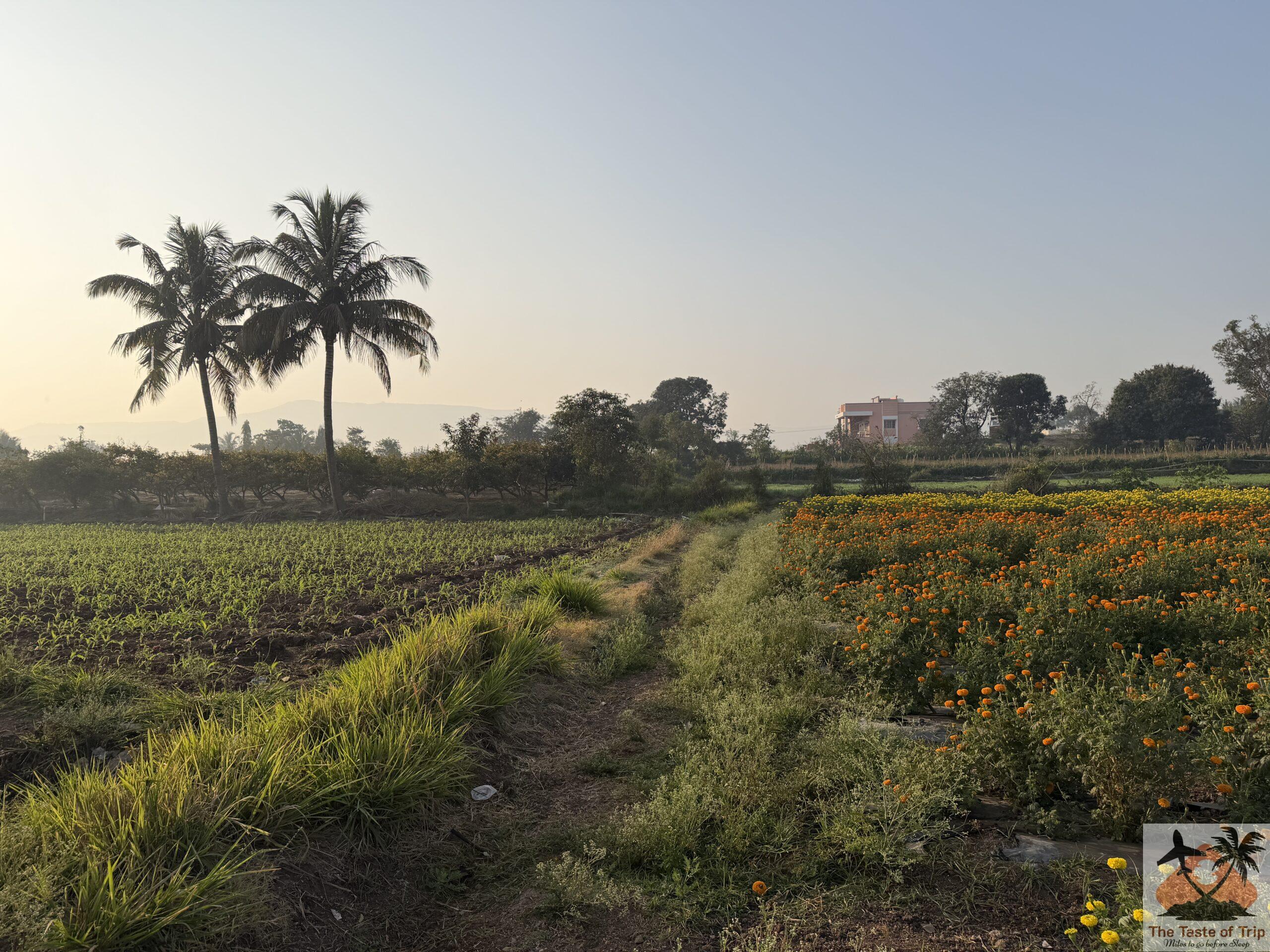 Mastani Lake Pune