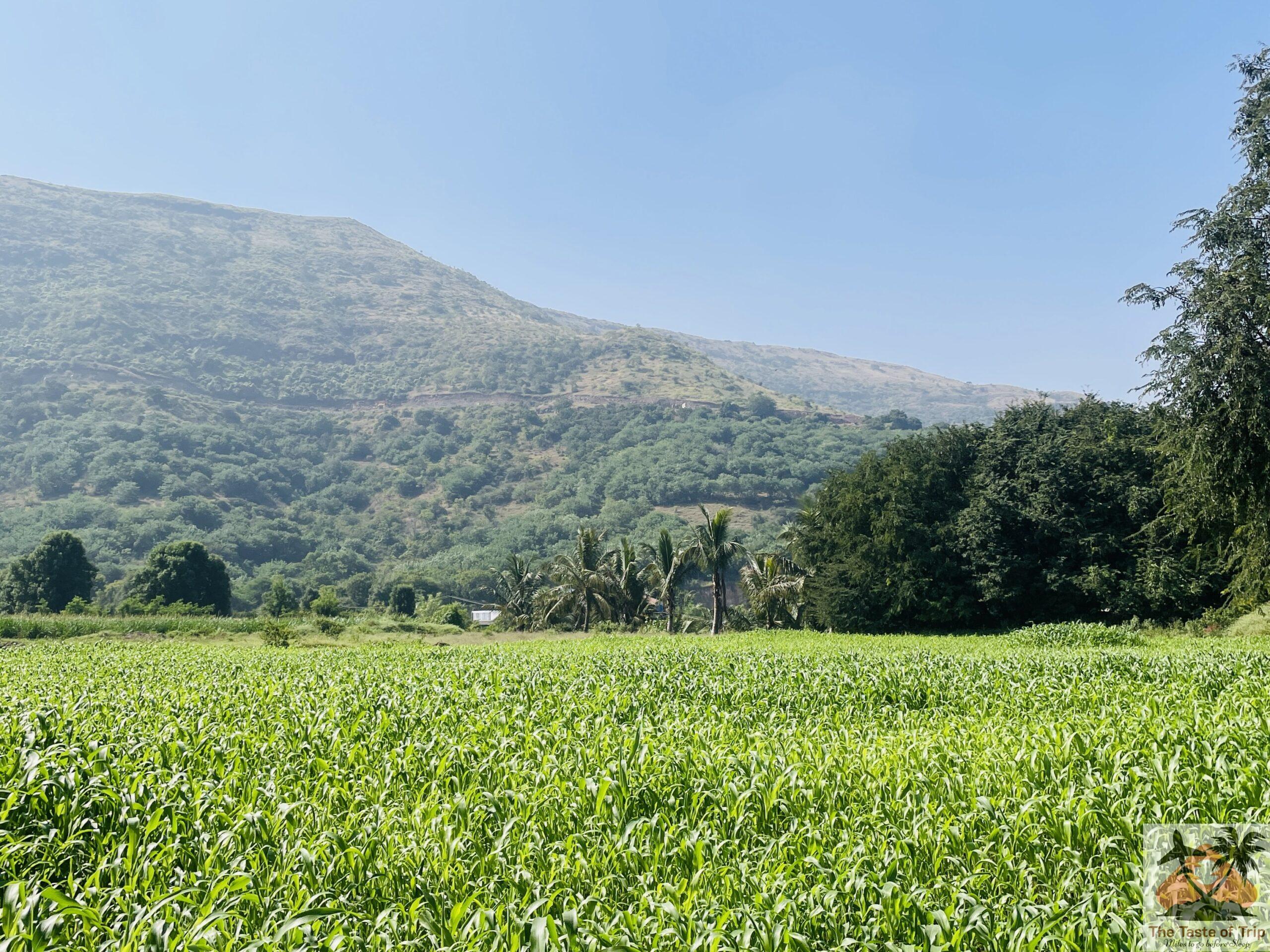 Mastani Lake Pune