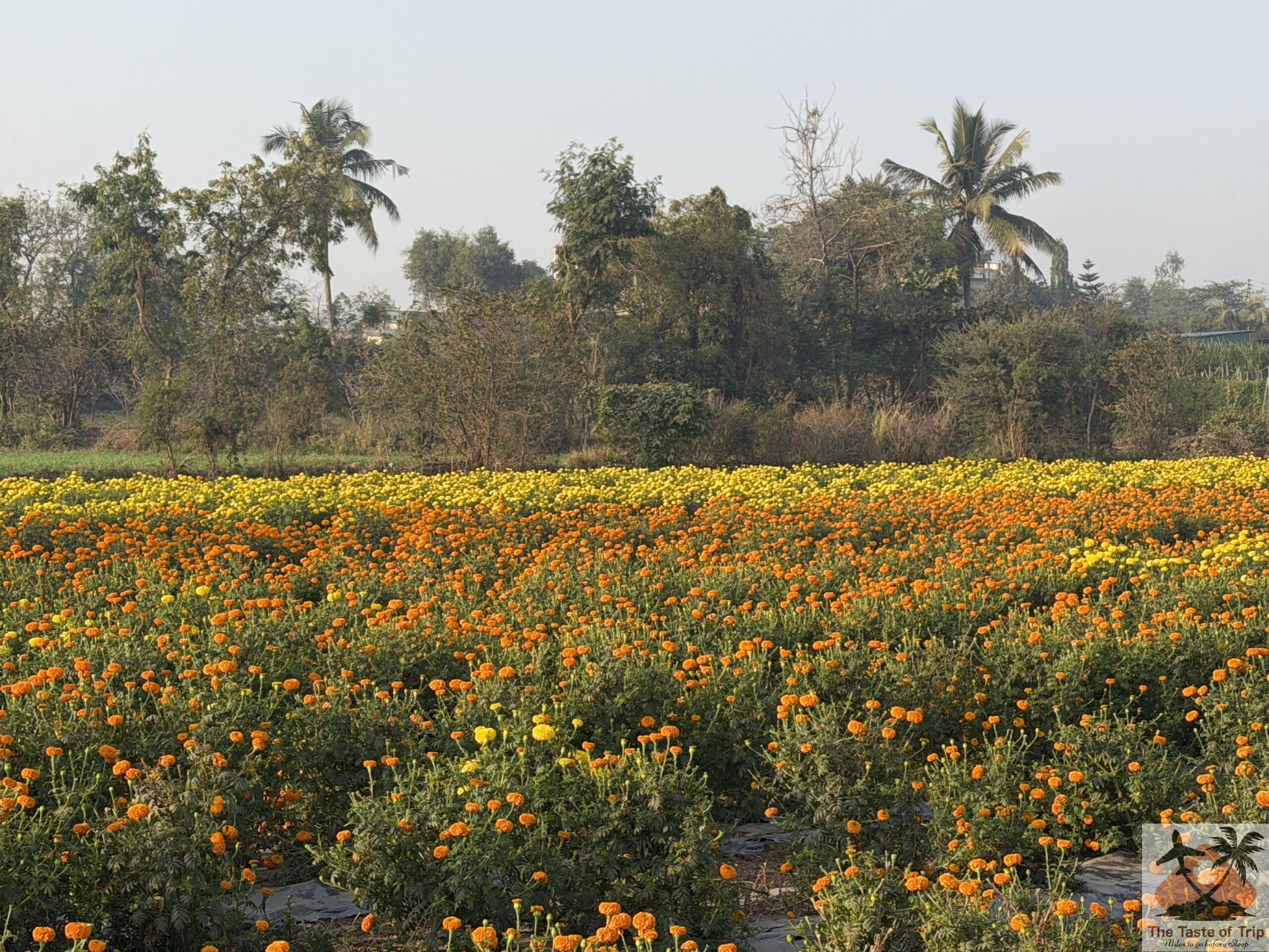 Mastani Lake Pune